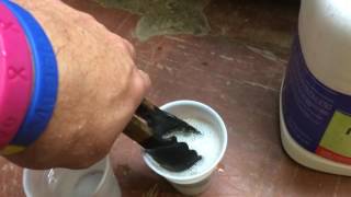 Using Muriatic Acid To Clean A Seashell [upl. by Stoeber]