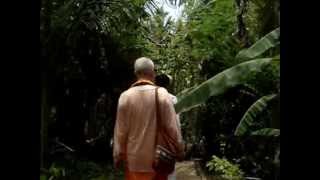 Visit to Karar Ashram with Yogi Sarveshwarananda [upl. by Clint]