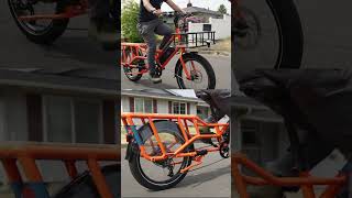 Whats the hype with the Radwagon 4 Full review video on the channel radpowerbikes ebike [upl. by Sarina]