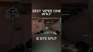 Best Viper one way Split shorts [upl. by Jump]