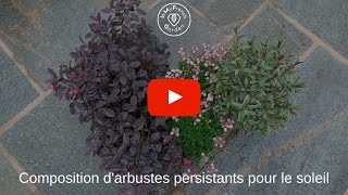 🌿 Quels arbustes persistant pour ma terrasse ou mon balcon  🌿 [upl. by Orban]