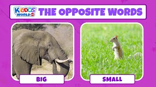 Learn The Opposites Words in English using Video Comparisons [upl. by Madai]