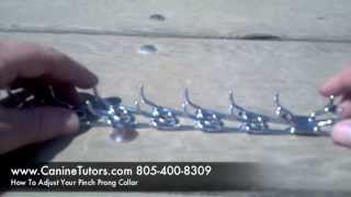 How To Adjust Or Fit Your Pinch Prong Collar wwwCanineTutorscom 4084551503 [upl. by Supat]