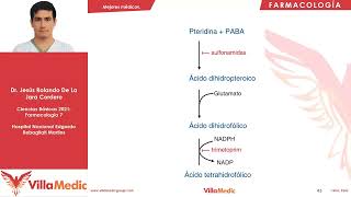 Antibióticos parte 3  Farmacología 7  Villamedic [upl. by Sirromad]