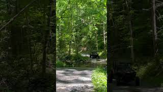 Parsons Branch Road  Cades Cove Tennessee forester smokeymountains rzr needsmoreskinnypedal [upl. by Acinhoj664]