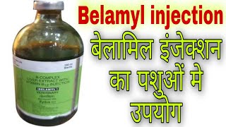 BElAMYL Injection Use Veterinary पशुओं में बेलमिल इंजेक्शन का उपयोग vet [upl. by Fruin3]