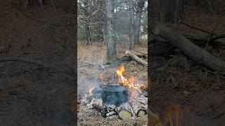 Solo trip in the forest  Bushcraft bushcraft skogsbad woodsman bowsaw [upl. by Monie]