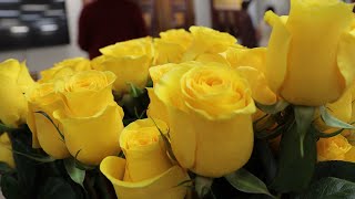 20232024 Westerville North High School Yellow Rose Ceremony [upl. by Liek370]