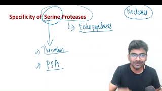 Substrate Specificity of Serine Proteases  Trypsin Chymotrypsin and Elastase [upl. by Tterrag]