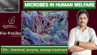 Bio vatika  class  12th  Microbes in human welfare II CHEMICAL Enzyme sewage treatment [upl. by Fogel]