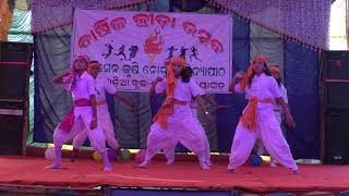 Odia pua bhari swabhimaniBhimasen Krushi Nodal BidyapithaBaunshagadia2019 [upl. by Buchanan928]