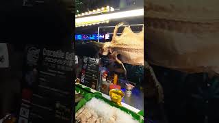 🐊 Гену сожрали 🌍 🇹🇭 travel streetfood bangkok [upl. by Klarika893]