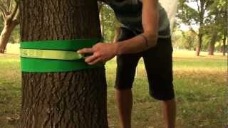 Slackline kit EQB STEP TRICK BALANCE  User Manual [upl. by Timofei]