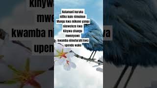 Natamani kuruka  Nipishe njia nipeni nafasi with Lyrics by B Mukasa [upl. by Karie]