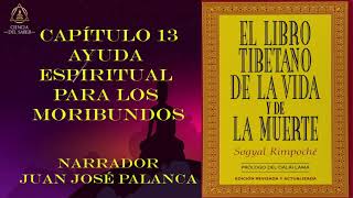 CAPÍTULO 13  AUDIOLIBRO  EL LIBRO TIBETANO DE LA VIDA Y LA MUERTE [upl. by Aihsel17]