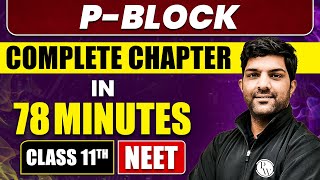 PBLOCK ELEMENTS in 78 Minutes  Full Chapter Revision  Class 11th NEET [upl. by Eoin55]