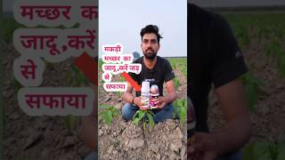 मकड़ी की दवाई agriculturefarming farming agriculture shortsviral Neem oil [upl. by Assyn]