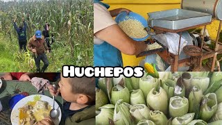 HUCHEPOSTamales de elote 🌽 RECETA DE ARANZA MICHOACAN🌽✨ [upl. by Ehcropal]