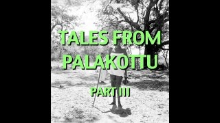 Talks on Sri Ramana Maharshi Narrated by David Godman  Tales From Palakottu Part III [upl. by Inalak356]