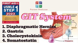 Hernias Gastrin CCK Somatostatin from first aid step 1part 10USMLEUrduHindi [upl. by Leynwad430]