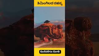 Whale explode facts kannada facts factsinkannada [upl. by Eevets841]