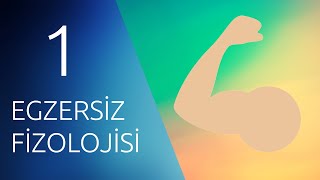 EGZERSİZ FİZYOLOJİSİ 1 Kas Yapısı [upl. by Nicolas]