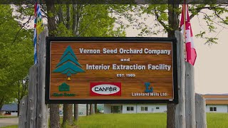 Vernon Seed Orchard Company [upl. by Essyla]