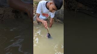 Attractive Unique Hand Fishing Challenge Video😲fishinghandfishingshorts [upl. by Hanahs]