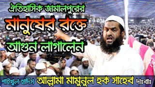 Bangla Waz 2018 Allama Mamunul Haque [upl. by Lemuela238]