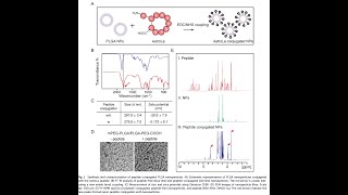 PEGPLGA from PolySciTech used in development of nanoparticles to treat strokeinduced brain injury [upl. by Hadleigh]