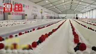 Huge 31km cake breaks world record in China [upl. by Buzzell796]