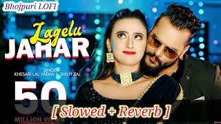 Lagelu Jahar 🥵🥵  SlowedReverb  Bhojpuri Lofi Song  Khesari Lal Yadav  video audio [upl. by Yllop]