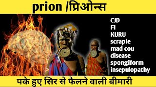 prion prion disease mad cow kuru cjd disease prion disease in human [upl. by Retswerb557]