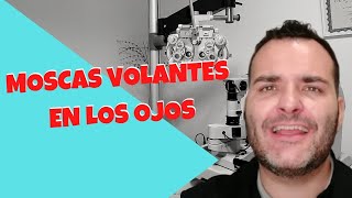 🔊 Moscas Volantes  CAUSAS  SÍNTOMAS Y TRATAMIENTOS [upl. by Yatnahs]