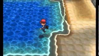 Pokemon XY  TM19 Roost Location [upl. by Sotos17]