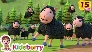 🐏 🐏 Baa Baa Black Sheep 🐏 🐏  🛏️ 🛌 Ten in the Bed 🛏️ 🛌  Kidsberry Nursery Rhymes amp Baby Songs [upl. by Ahsilram]