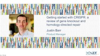 Getting started with CRISPR a review of gene knockout and homologydirected repair [upl. by Ralip]