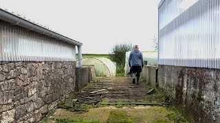 Visite de la Ferme botanique de Kerveat [upl. by Ynoep698]