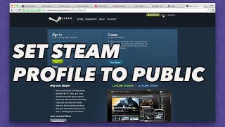 How to set your steam profile to public for SKINS  BETTING [upl. by Akemhs751]