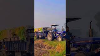 Farmtrac 60 Tractor trali bhinderfarmertv trending tractor viralshorts [upl. by Ahsinahs]