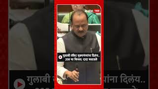 Ajit Pawar On Opposition  गुलाबी जॅकेट आज मुख्यमंत्र्यांना दिलंय208 चा किस्सा दादा कडाडले [upl. by Cohbath525]