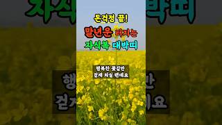 말년복 대박 노후에 돈복 자식복 좋은 띠 풍수 띠운세 [upl. by Ecirtnahc]