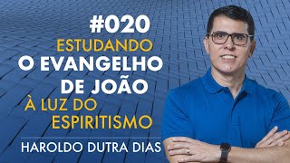 020  O EVANGELHO DE JOÃO  Haroldo Dutra Dias Estudando [upl. by Deroo526]