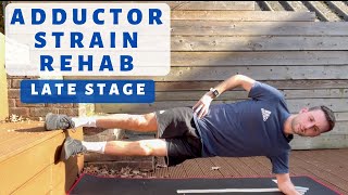 Adductor Strain Strengthening Exercises [upl. by Attekahs]