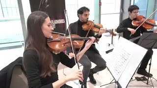 Torino la Filarmonica del Teatro Regio si esibisce per festeggiare il suo ventennale [upl. by Quickman]