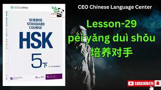 HSK5下）Standard course 标准教程（练习听力）（Lesson 29） [upl. by Jerman158]