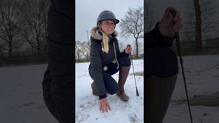 Pferdehofliebe  Völlig verpeilt😂❄️ pferdehofliebe pferde equestrian horse youtubeshorts fy [upl. by Nosam]