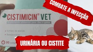 Infecção urinária gatosCistimicin Vet [upl. by Zarla356]