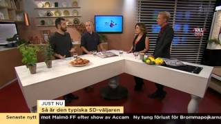 Vilka var det som röstade på SD  Nyhetsmorgon TV4 [upl. by Tana92]