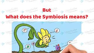 Symbiotic Association between the roots of Leguminous plants and Rhizobium bacteria [upl. by Matthieu892]